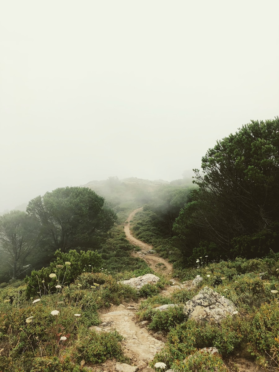 Ajouter un programme au PATH Windows : Le guide ultime 2025 (3 méthodes + troubleshooting)